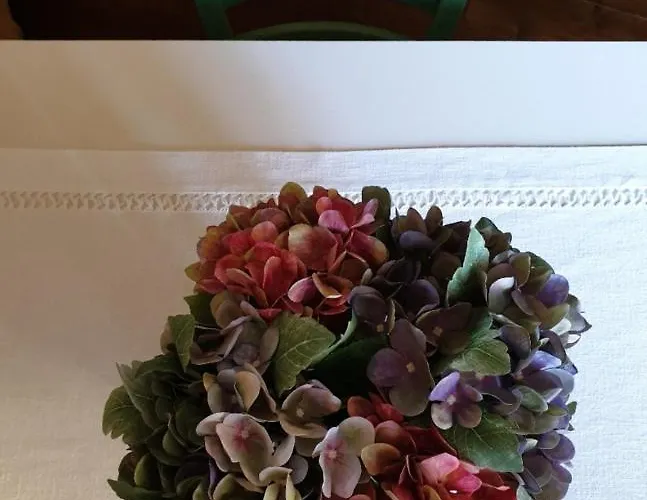 Apartment Mia Orvieto